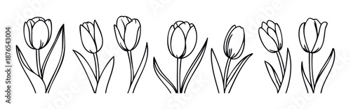 A minimalist collection of six hand drawn tulip outlines representing spring and growth, perfect for various creative projects including greeting cards, invitations, or coloring book pages