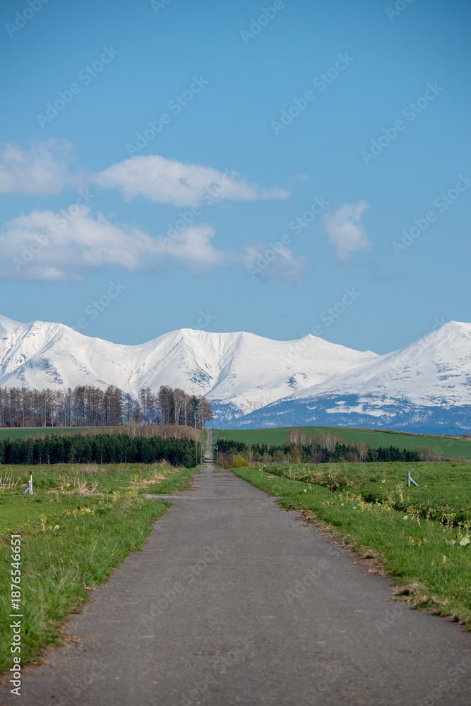 Fototapeta premium 春の雪山に続く草原の道 