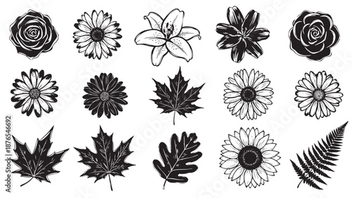 Set of botanical floral and leaf illustrations for design projects