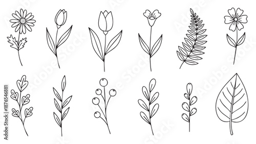 Set of elegant line art floral illustrations for botanical design projects