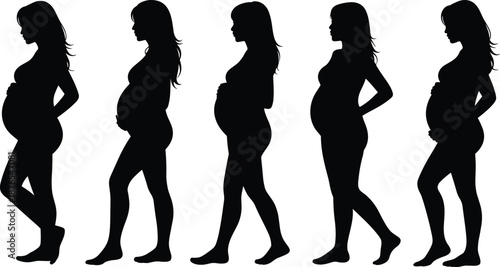 Pregnant woman silhouettes collection, pregnancy stages side view poses, expecting mother body changes, maternity and motherhood concept, black isolated female vector illustration set