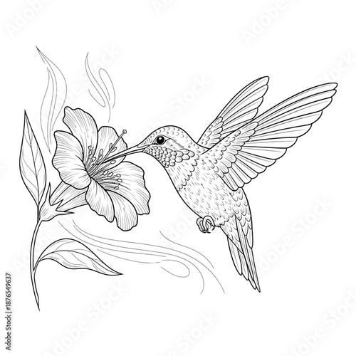 Hummingbird Feeding on Flower with Delicate Details