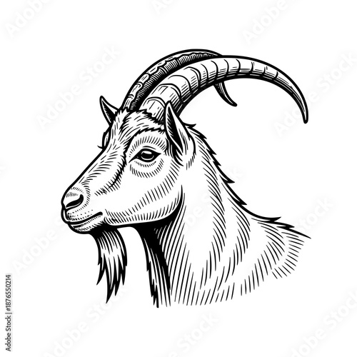 Minimalist goat head tattoo line art vector illustration black and white