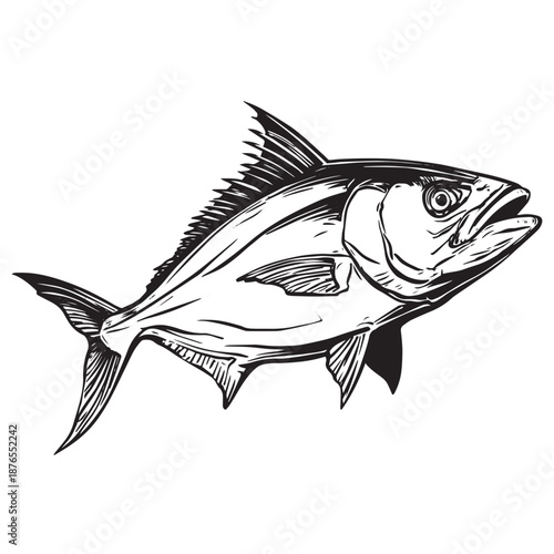 Hand-drawn black and white sketch of a large tuna fish.