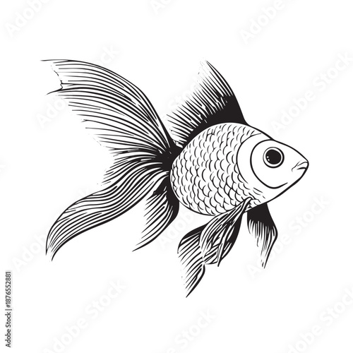 Vintage engraving of a freshwater fish with detailed scales.