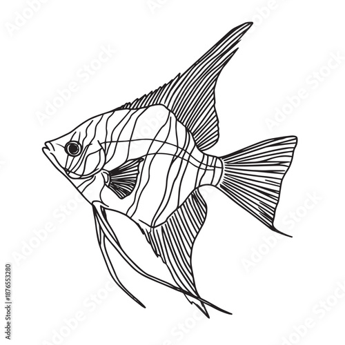 Minimalist black and white line drawing of an angelfish.