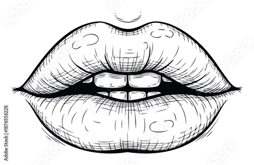 Detailed black and white sketch of sensual human lips with slightly parted teeth perfect for cosmetic promotions, fashion editorial content, or expressive design projects