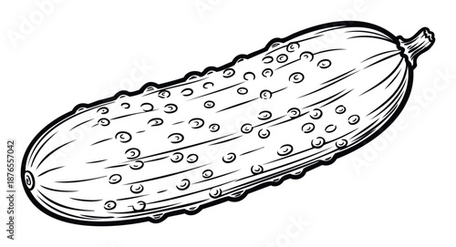 Fresh crunchy cucumber vegetable for healthy recipes and organic farming promotions, a perfect visual for culinary blogs or nutritional guides.