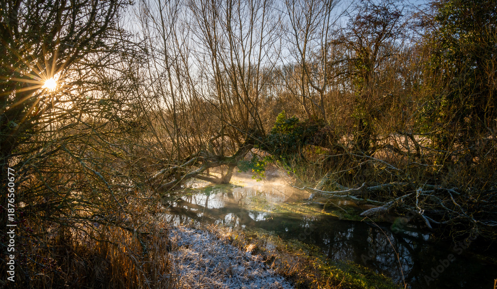 Obraz premium Winter walk in a nature reserve in Malborough Wlitshire England