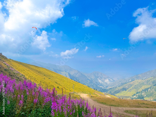 Scenic Spring Landscape with Purple Flowers in Mountainous Region under Blue Sky Bishkek, Kyrgyzstan