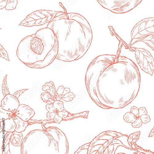 Vintage hand drawn peach illustration set, engraving sketch organic fruit with leaves and blossoms for summer food and juice design