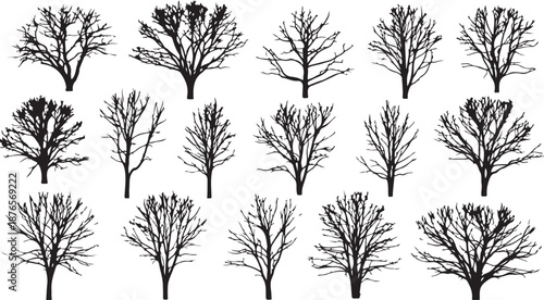 Collection of Silhouetted Bare Winter Trees and Branches Against White Background vector illustration