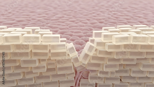 Vulnerable skin barrier damage is precisely illustrated in a microscopic 3D render, showing a compromised epidermal protective wall of translucent rectangular ceramide-like cells breaking apart,