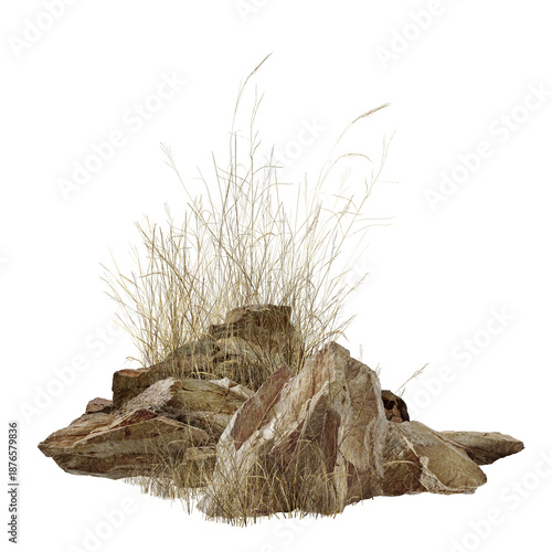 dry grass on white background/Rocky outcrop with dry grass, isolated on a white background in a natural, rugged style.