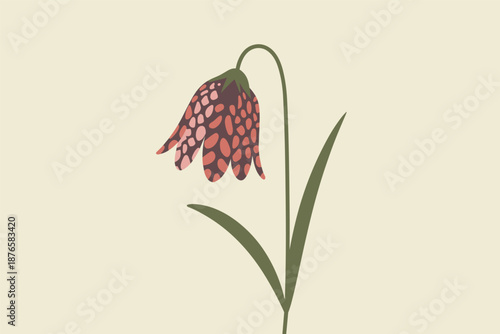Stylized Checkered Fritillary Flower Illustration, botanical illustration concept