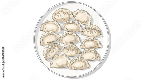 Delicious Traditional Chinese Jiaozi Dumplings Platter Illustration Ready for Serving