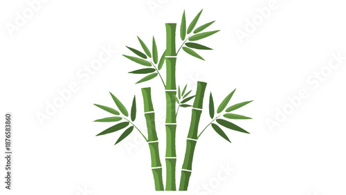 Traditional Japanese Bamboo Stalks and Leaves Illustration on Black Background