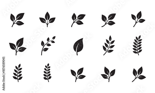 Nature Leaves Vector Icons Set Botanical Silhouettes and Organic Branch Elements for Eco Design