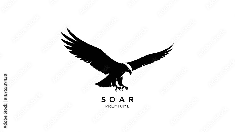 Obraz premium Silhouette of a majestic eagle in flight with wings spread wide.
