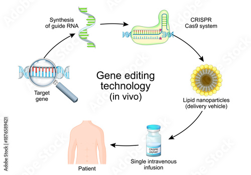 Gene editing technology in vivo. CRISPR and Cas9 system for Treatment disease