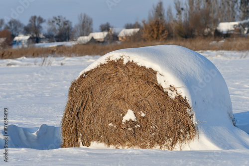 Close up of snow-covered hay bale in frosted winter field on a sunny day.