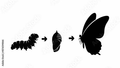Life cycle of a butterfly shown as a silhouette from caterpillar to chrysalis to butterfly.
