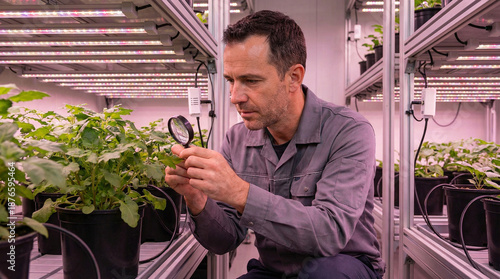 Man inspecting plant with magnifying glass under grow lights  