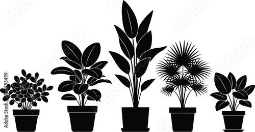 Collection of indoor house plants silhouette in pots, tropical greenery including palm rubber plant and monstera leaves, botanical set for interior design and decor