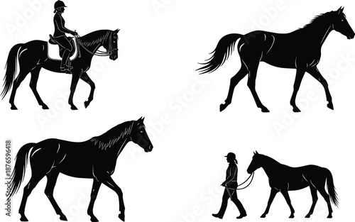 Professional vector illustration of horse riding and equestrian sports silhouettes featuring stallion trainer and rider for ranch lifestyle animal care and countryside leisure activities