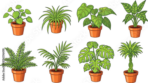 Set of indoor houseplant illustrations in terracotta pots, tropical green leaves collection, home gardening icons, cartoon botanical elements, vector isolated on white background, nature.