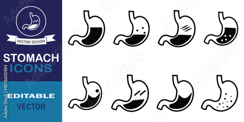 Stomach icon set, vector symbol design. Stomach illustration for healthcare graphics on white background. Human stomach anatomy education, and digestive system concept.