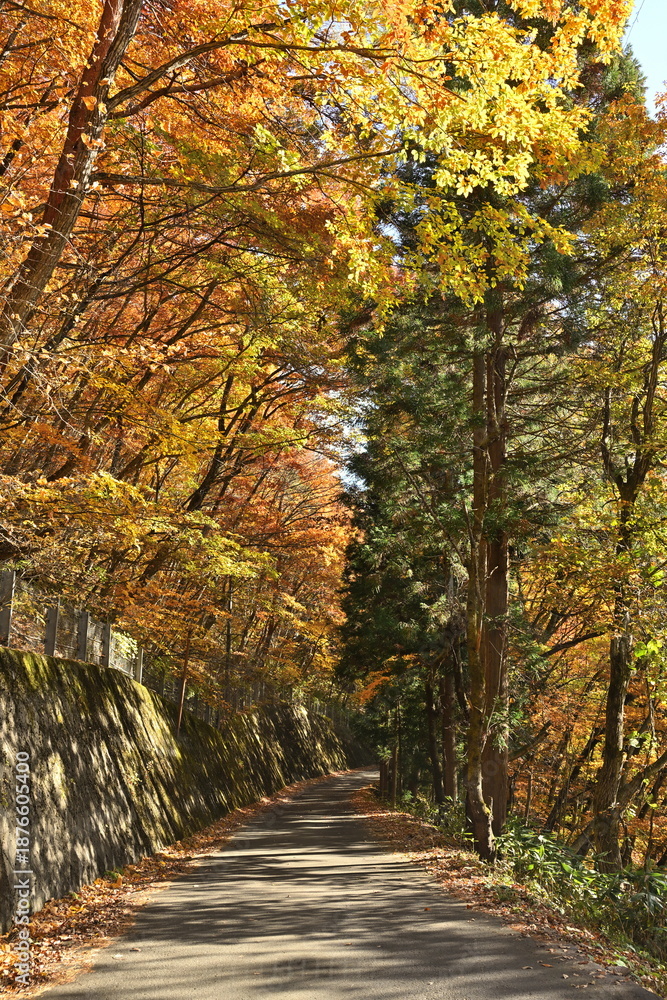 Fototapeta premium 長野市に広がる山並みと紅葉の風景（長野県長野市）