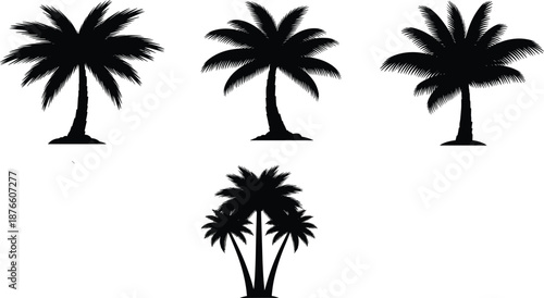 Grouped and individual palm tree silhouette set, varied frond shapes and trunk curves, black tropical vector graphic