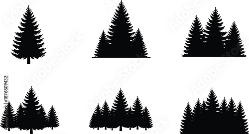 Pine tree silhouette set, grouped forest shapes, black vector design, editable nature illustration, landscape reference, outdoor branding art