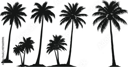Row of palm tree silhouettes, varied heights and frond shapes, black tropical vector graphic with soil base detail