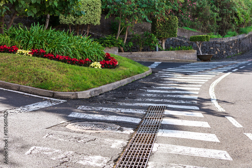 Street intersection features marked pedestrian crosswalk, raised grassy median with flowers, and metal storm drain grate set into asphalt pavement. Sunlight casts distinct shadows across road