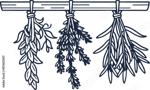 Herbs hanging to dry on wooden rod, outline botanical illustration of culinary plants