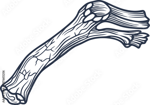 Illustration of a dog chew bone with textured surface and rope ends