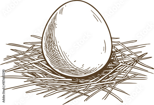 single egg resting in a straw nest, hand drawn vintage illustration on white background
