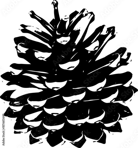 Black and white illustration of a pine cone with detailed scales and natural texture