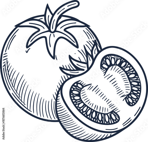 hand drawn illustration of whole and sliced tomato showcasing detailed seeds and texture