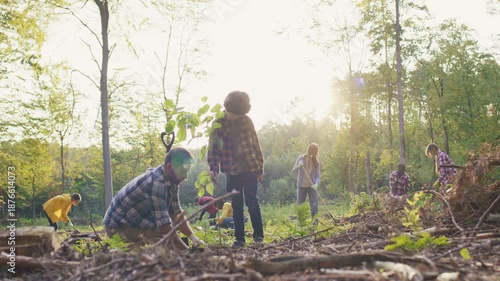 Wide forest scene with volunteers restoring nature. Caucasian man kneeling and covering roots with soil. Young boy standing with sapling. Group planting trees together. Outdoors.