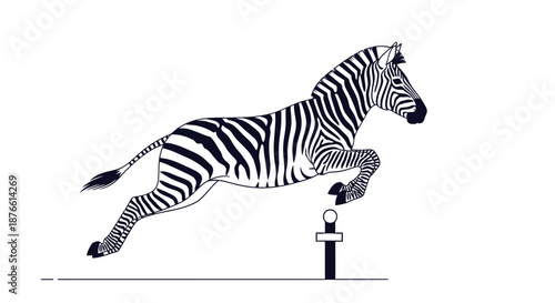 Zebra Jumping Over Small Obstacle Freely.