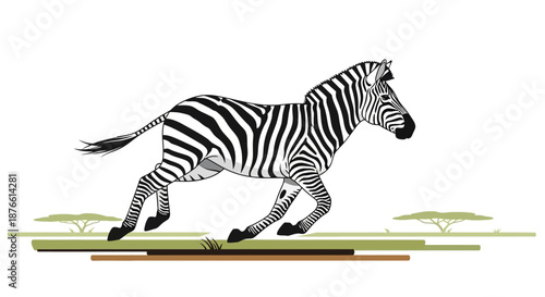 Zebra Running with Striped Pattern Clearly Visible.