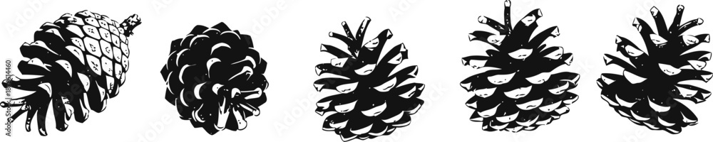Fototapeta premium Five different pine cones collection isolated on white background in black and white silhouette