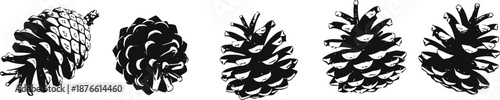 Five different pine cones collection isolated on white background in black and white silhouette