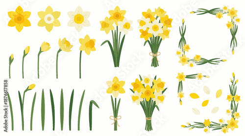 Daffodils flowers in creative arrangements. Spring Vector Packs. EPS Editable