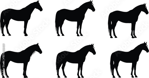 Stylized horse profile silhouette set, black side view poses, animal graphic, vector art, equine design, motion comparison