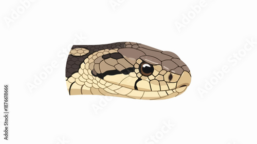 Close-up pixel art illustration of a snake's head with detailed scales, eye, and markings