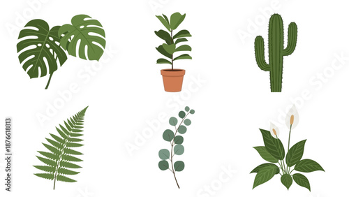 Collection of Tropical and Desert Houseplants - Vector Icons